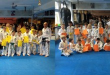 Budokan Kinder Turnier 2017