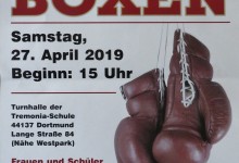 Flyer Westparkboxen 2019