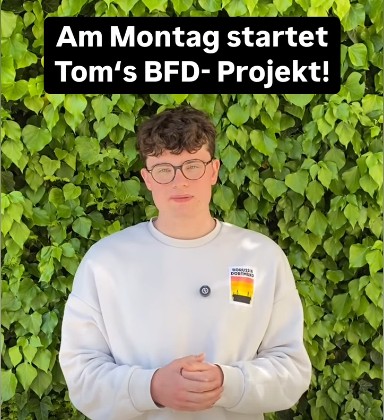Toms BFD Projekt